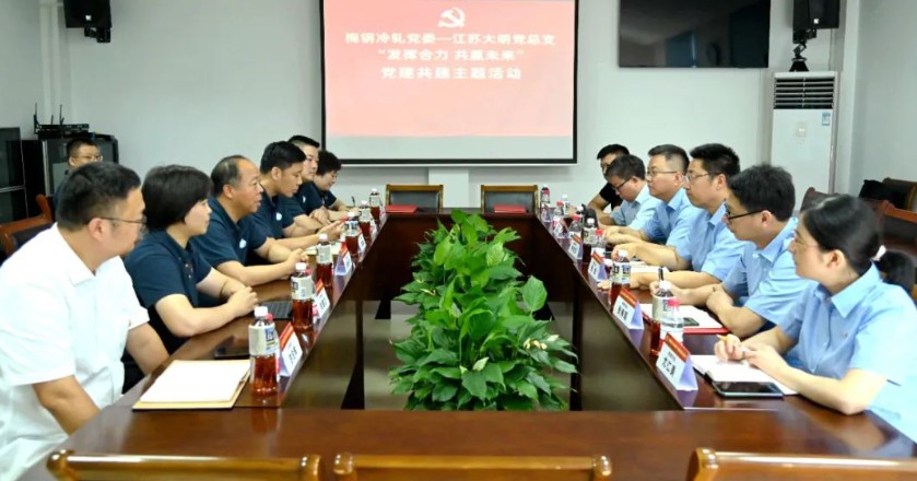 梅钢冷轧党委与江苏yl23455永利集团党总支发展党建共建主题活动