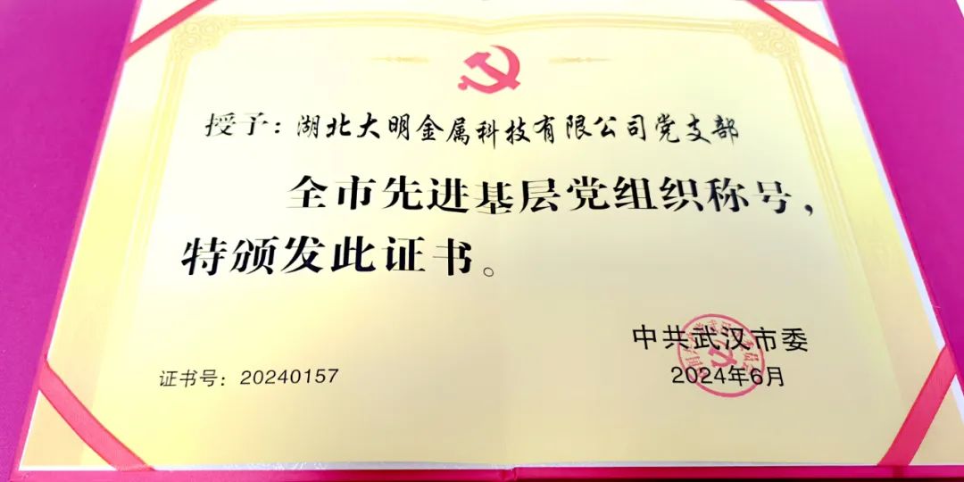 喜报！湖北yl23455永利集团党支部荣获“武汉市先进基层党组织”称号